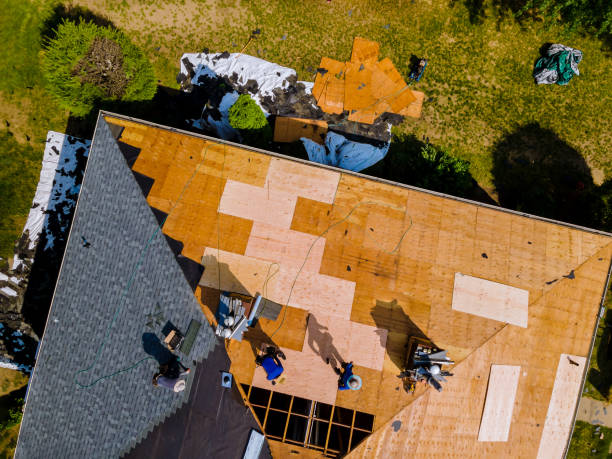 Best Gutter Installation and Roofing  in Glenarden, MD
